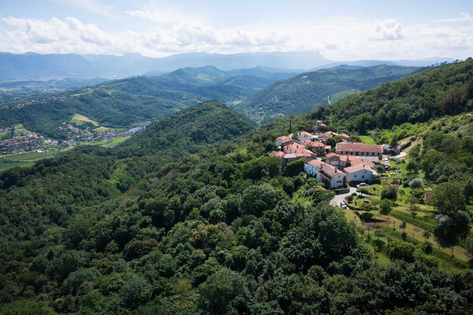 Villa Artes With Free Hot Tub & Sauna Branik Exteriér fotografie